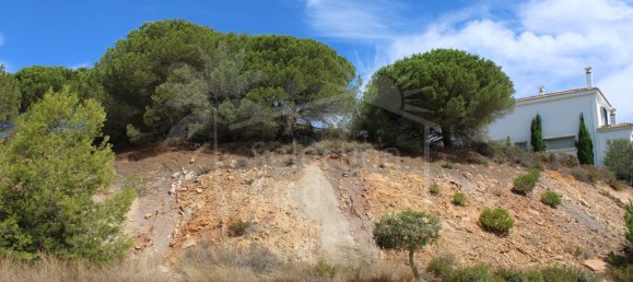  Land in Cadiz, Spain No. 128198 23