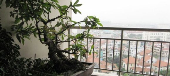 Квартира с 3 спальнями в Каузяй, Вьетнам № 6990 8