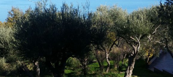 2500m² Land in Naso, Italy No. 257137 4