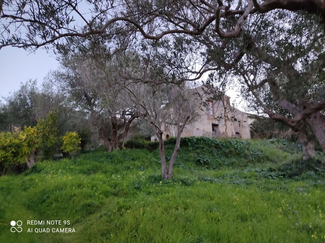 2500m² Land in Naso, Italy No. 257137