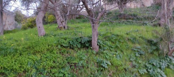 2500m² Land in Naso, Italy No. 257137 11