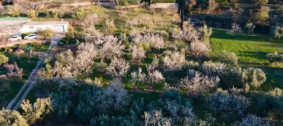 3 غرف نوم منزل في Monachil, Spain رقم 176337 2