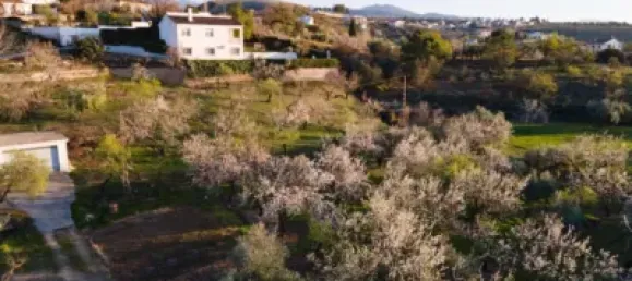 3 غرف نوم منزل في Monachil, Spain رقم 176337 3