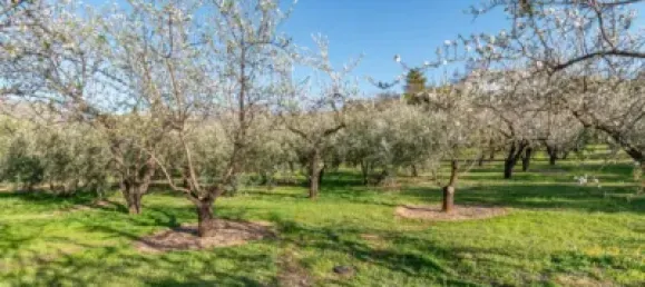 3 غرف نوم منزل في Monachil, Spain رقم 176337 16