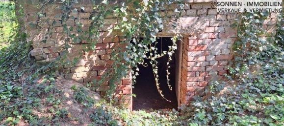 3غرفة منزل في Kreuzstetten, Austria رقم 135426 5