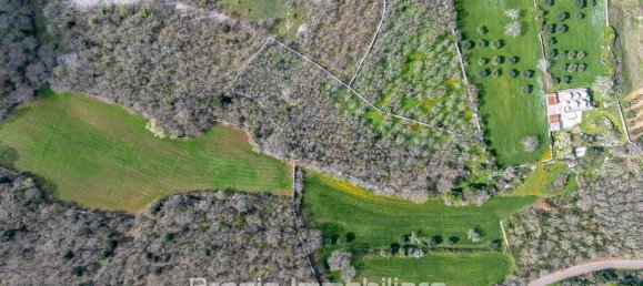 3 Schlafzimmer Villa in Martina Franca, Italy, Nr. 133165 12