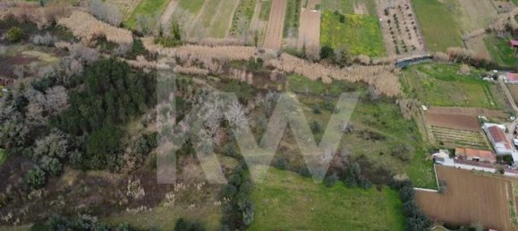 20910m² Land in Condeixa a Nova, Portugal No. 64472 4