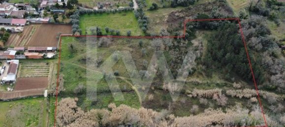 20910m² Land in Condeixa a Nova, Portugal No. 64472 2