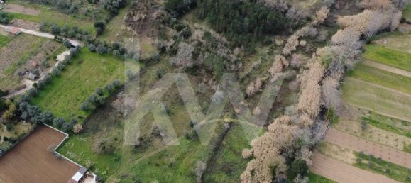 20910m² Land in Condeixa a Nova, Portugal No. 64472 6