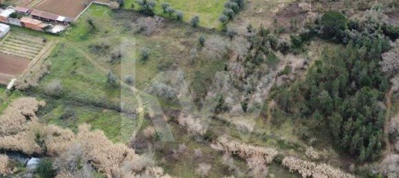 20910m² Land in Condeixa a Nova, Portugal No. 64472 9