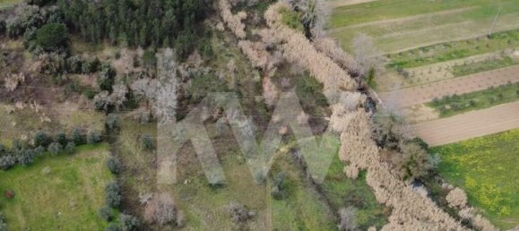 20910m² Land in Condeixa a Nova, Portugal No. 64472 8