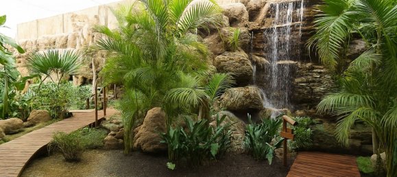 7 bedrooms Villa in Cadiz, Spain No. 190937 21