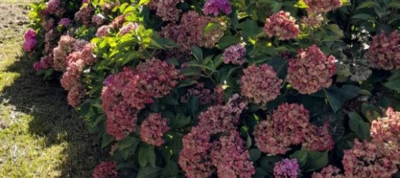 5 bedrooms Villa in Cairo Montenotte, Italy No. 312083 15