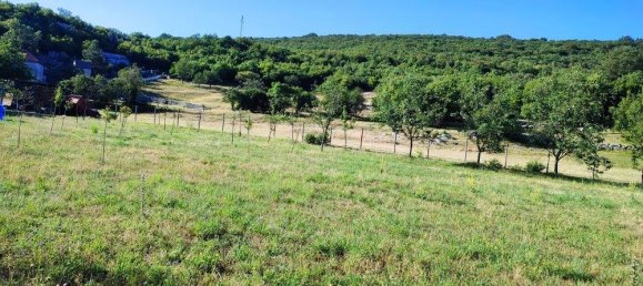 Terreno de 4 habitaciónes en Baden-Wurttemberg, Germany No. 19190 4