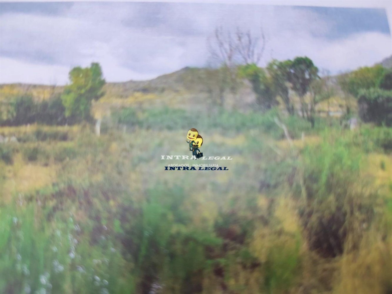 21000m² Land in Guijuelo, Spain No. 269483