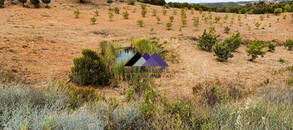 40840m² Land in Odeleite, Portugal No. 171757 5