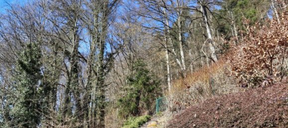 10-salle Maison à Calw, Germany No. 16047 24