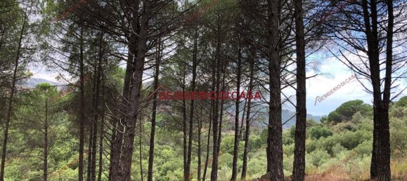 Grundstück in Cefalù, Italy 10500m², Nr. 68033 3