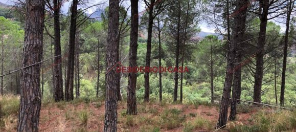 Grundstück in Cefalù, Italy 10500m², Nr. 68033 2