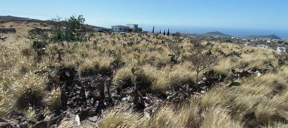 3 غرف نوم منزل في Granadilla de Abona, Spain رقم 165355 10