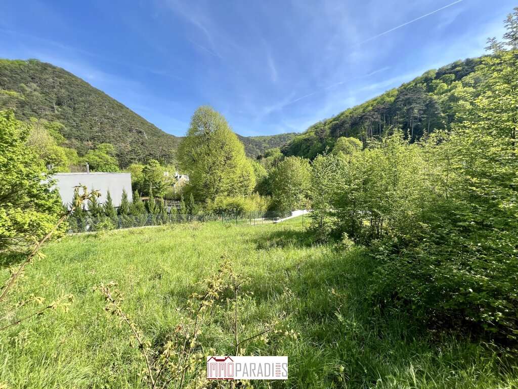 Grundstück in Hinterbrühl, Austria, Nr. 102993