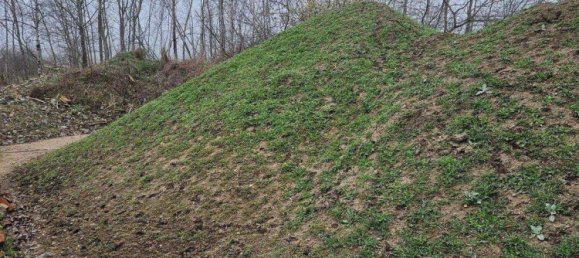 Armazém em Elbe-Elster, Germany 3800 m² N.º 276611 14