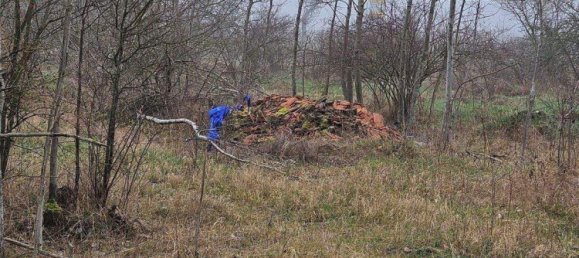 Armazém em Elbe-Elster, Germany 3800 m² N.º 276611 4