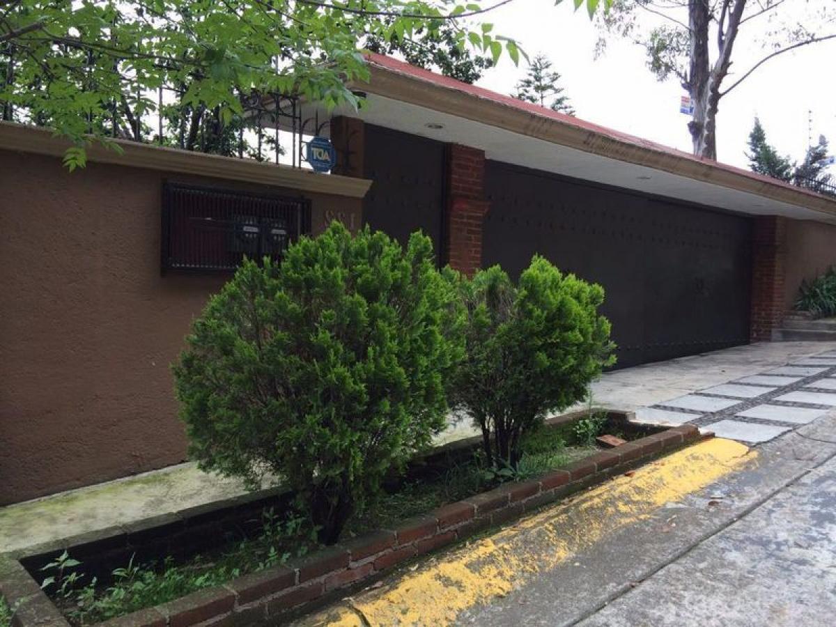 Terrain à Mexico No. 203460