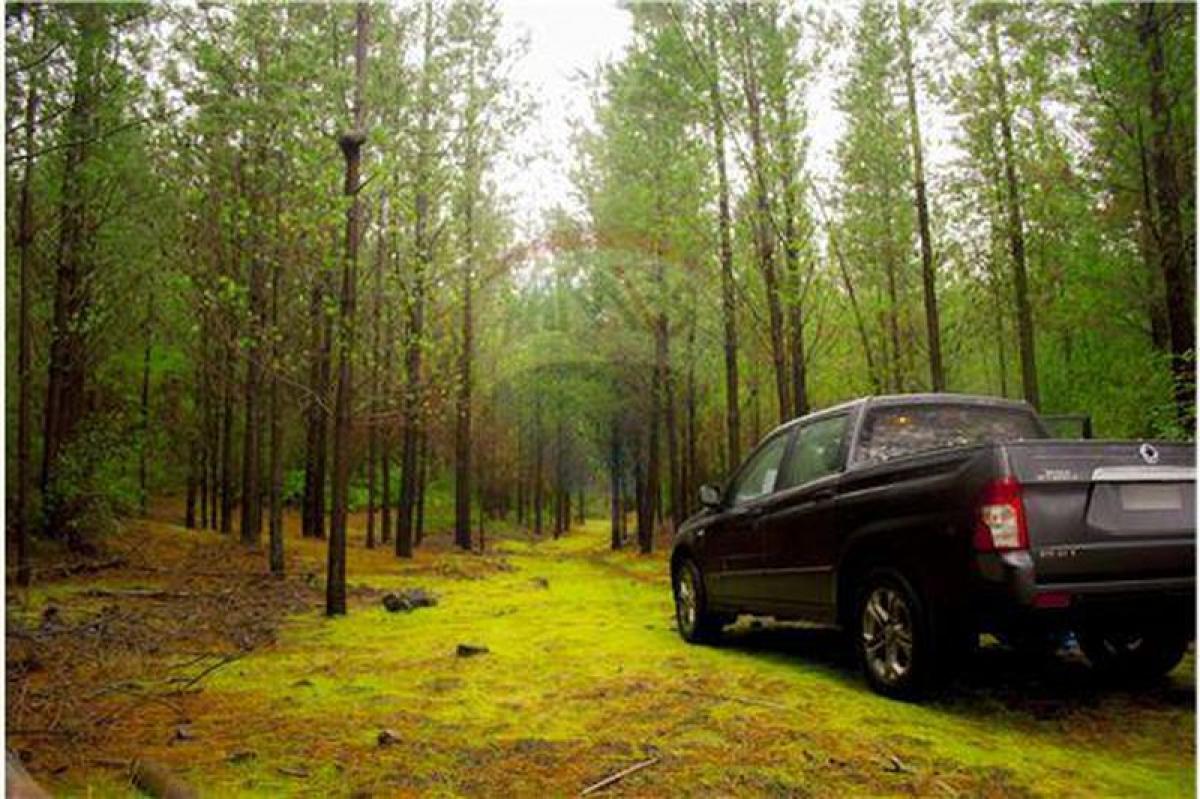  عقار تجاري في Biobio, Chile رقم 143