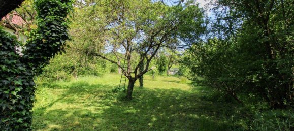 Земельный участок в Лизинг, Австрия № 147486 7