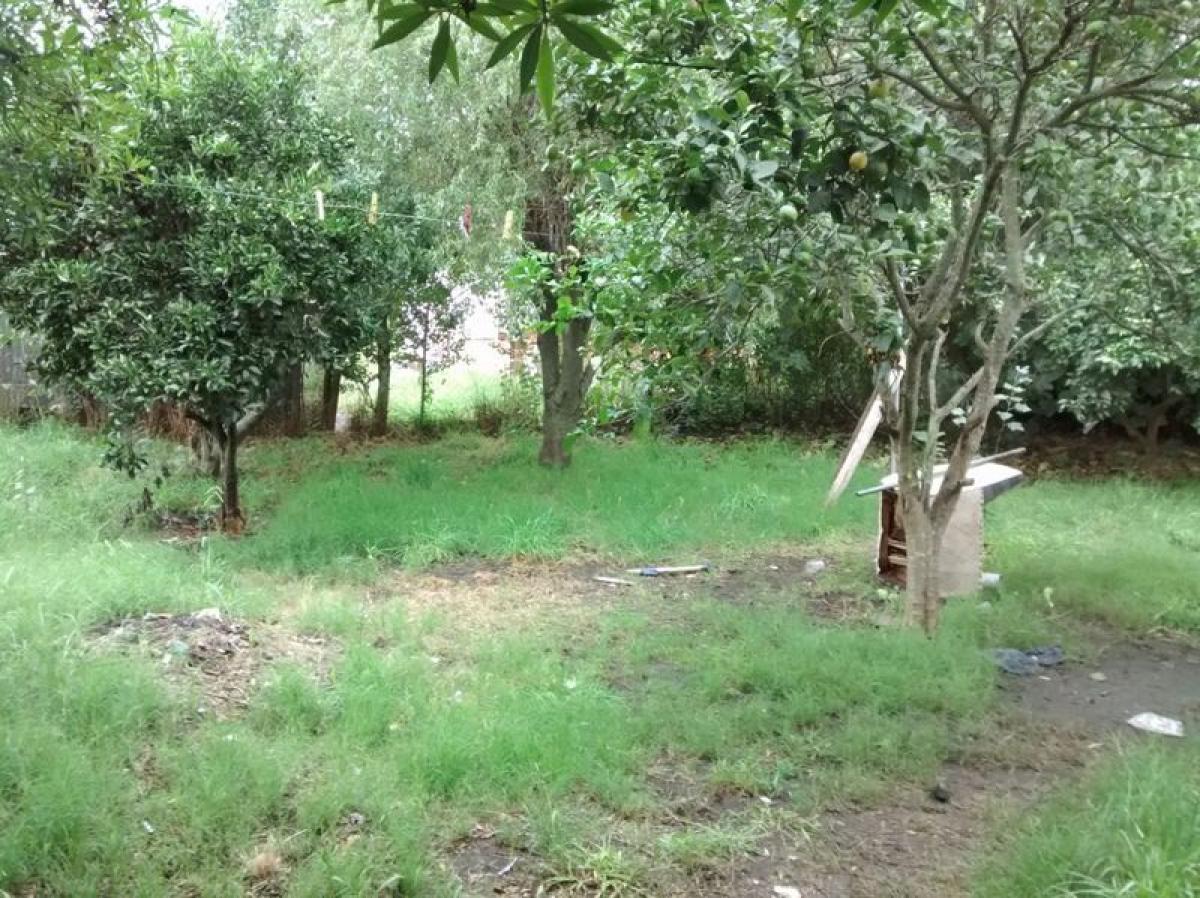 2 Schlafzimmer Haus in Mar del Plata, Argentina, Nr. 83498