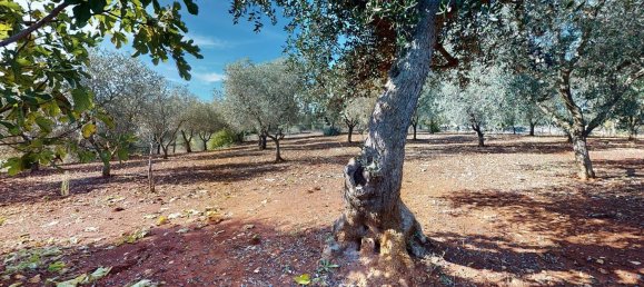 4غرفة منزل في Ceglie Messapica, Italy رقم 107715 22