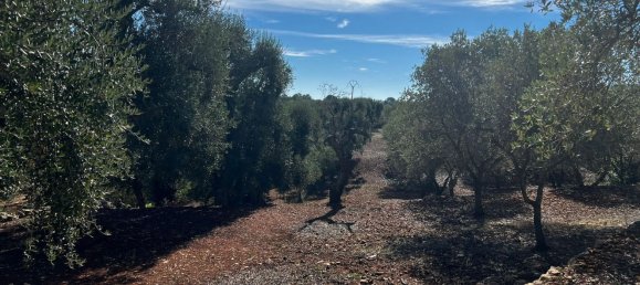 4غرفة منزل في Ceglie Messapica, Italy رقم 107715 25