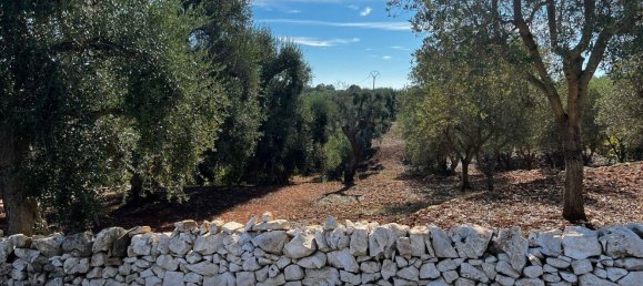 4غرفة منزل في Ceglie Messapica, Italy رقم 107715 29