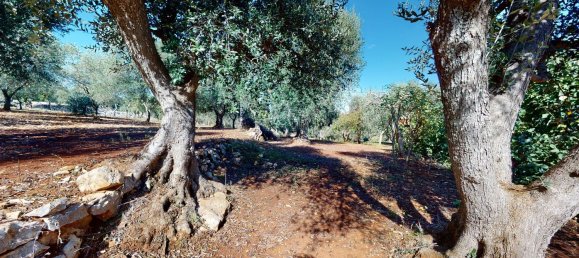 4غرفة منزل في Ceglie Messapica, Italy رقم 107715 21