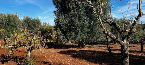 4غرفة منزل في Ceglie Messapica, Italy رقم 107715 26