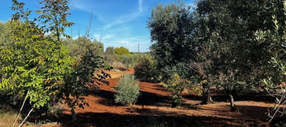 4غرفة منزل في Ceglie Messapica, Italy رقم 107715 27