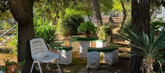 4غرفة منزل في Ceglie Messapica, Italy رقم 107715 23