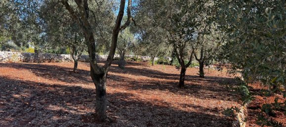 4غرفة منزل في Ceglie Messapica, Italy رقم 107715 28