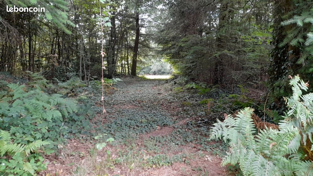  Land in Saint-Yrieix-la-Perche, France No. 284180