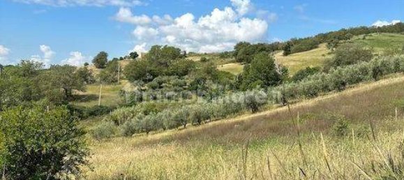 6 bedrooms House in Lupara, Italy No. 113207 4