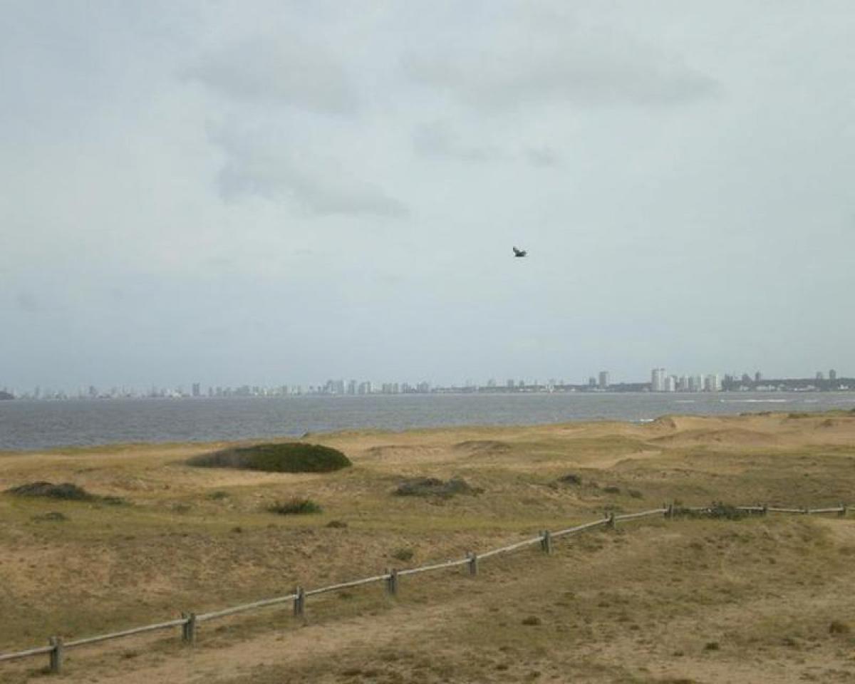 5 bedrooms House in Maldonado, Uruguay No. 2617