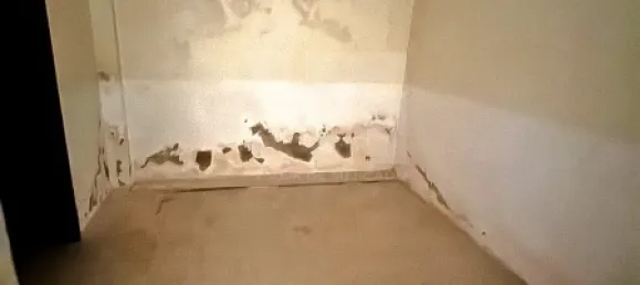 5 bedrooms Apartment in Lagoa, Portugal No. 90557 11