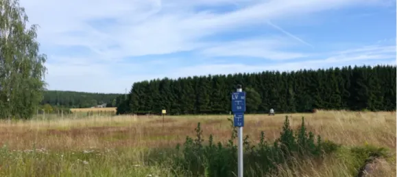  Land in Chemnitz, Germany No. 96289 2