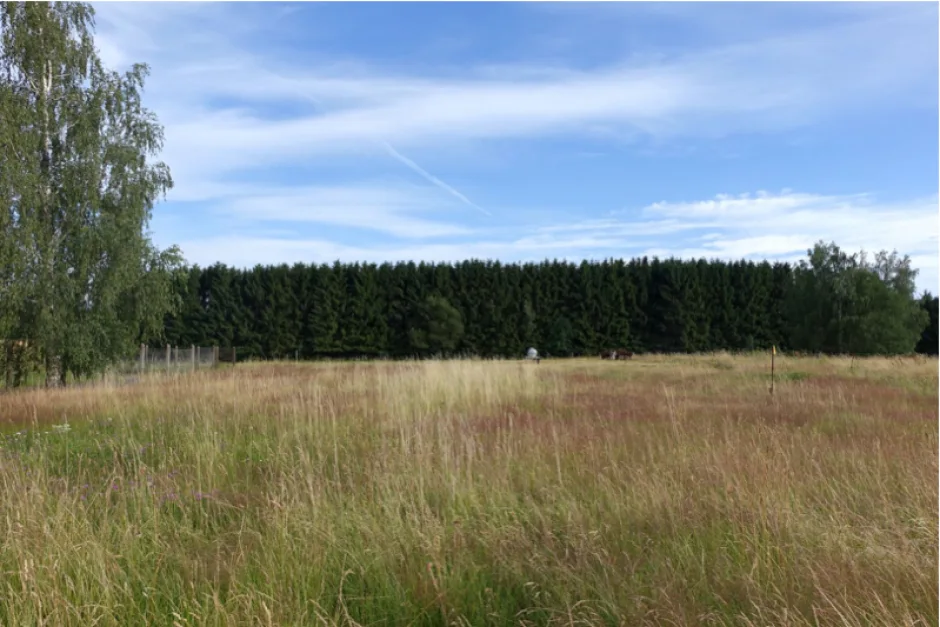  Land in Chemnitz, Germany No. 96289