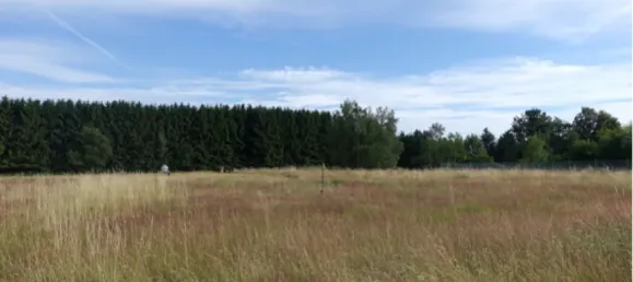  Land in Chemnitz, Germany No. 96289 3