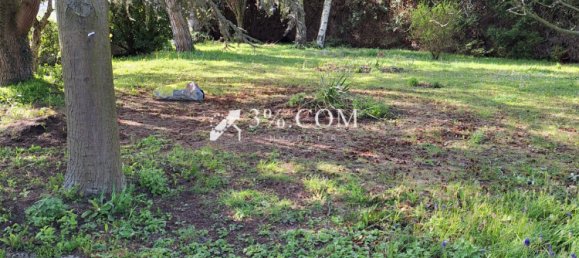 Дом с 4 спальнями в Ангрес, Франция № 244111 12