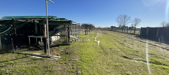 Terreno de 1 habitación en Viareggio, Italy No. 120935 4