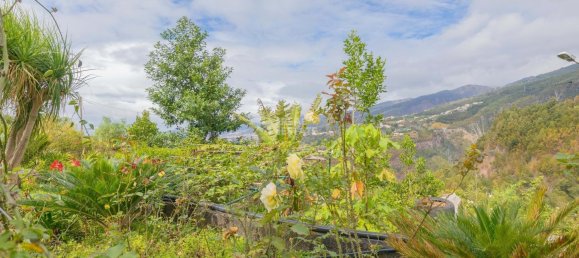 4 bedrooms Land in Funchal, Portugal No. 131631 75