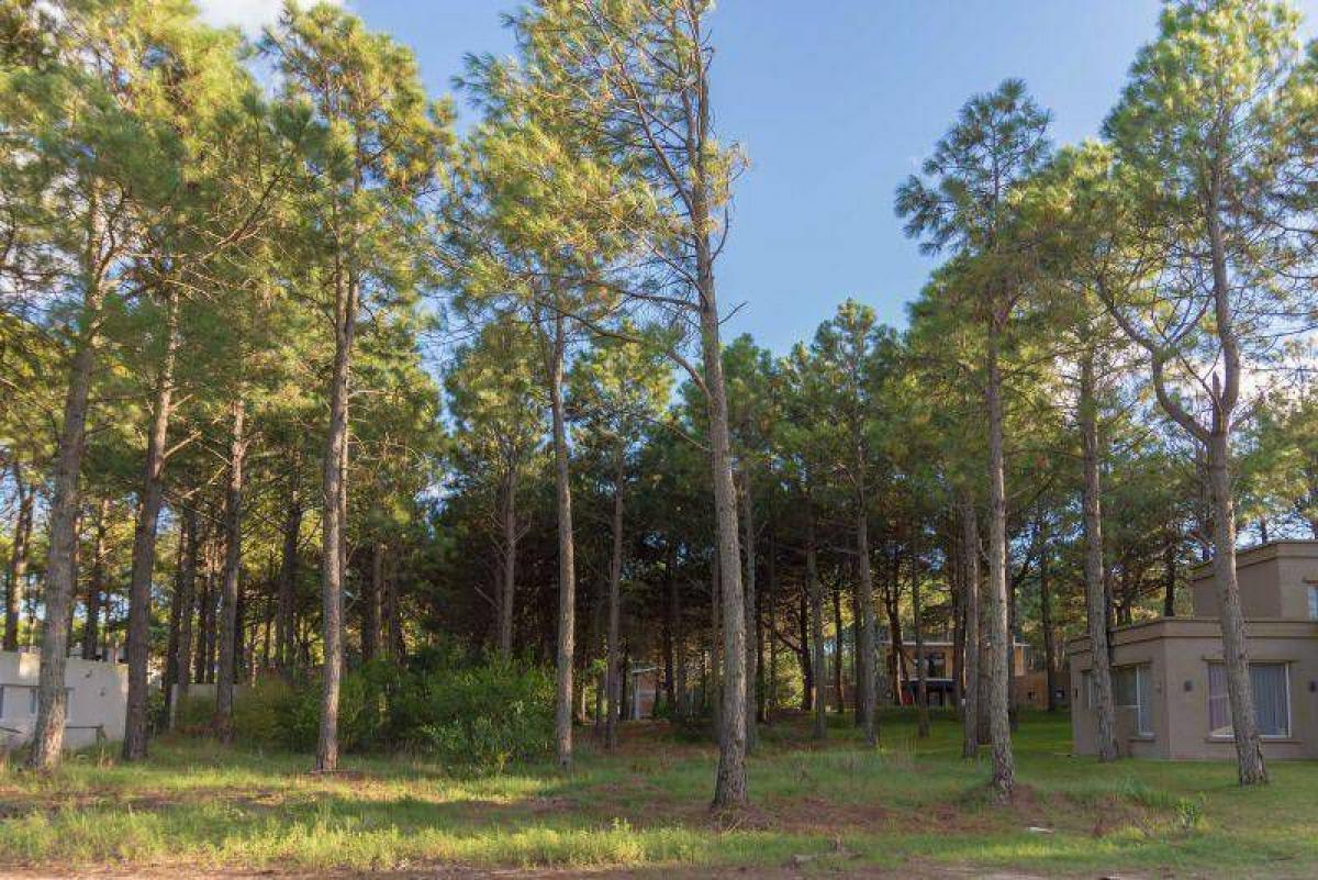  قطعة أرض في Mar del Plata, Argentina رقم 117251